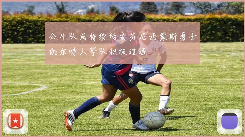 公牛队或将续约安芬尼西蒙斯勇士凯尔特人等队积极追逐